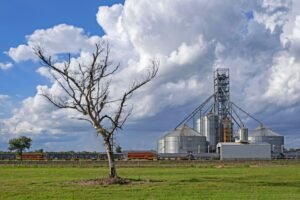 Por qué Vicentin pasó de gran empresa a gran estafa en Argentina 14 fabrica agroindustrial argentina con campos agricolas